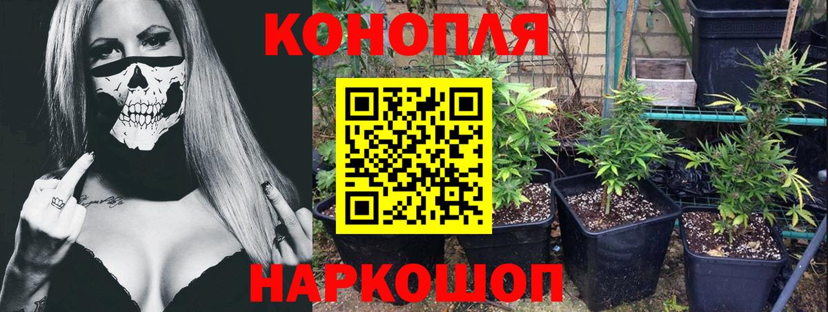 Ирбит  МАРИХУАНА марихуана  МАРИХУАНА индика  Вход с VPN  Бошки Шишки план 